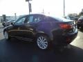 Obsidian Black - IS 250 AWD Photo No. 4