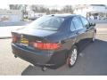 2006 Nighthawk Black Pearl Acura TSX Sedan  photo #3