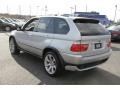 2005 Titanium Silver Metallic BMW X5 4.8is  photo #9