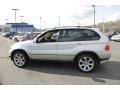 2005 Titanium Silver Metallic BMW X5 4.8is  photo #10