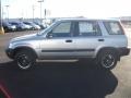 Sebring Silver Metallic - CR-V LX 4WD Photo No. 4