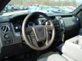 2011 Blue Flame Metallic Ford F150 XLT SuperCab 4x4  photo #10