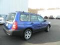 Pacifica Blue Pearl - Forester 2.5 X Photo No. 5