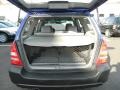 Pacifica Blue Pearl - Forester 2.5 X Photo No. 16