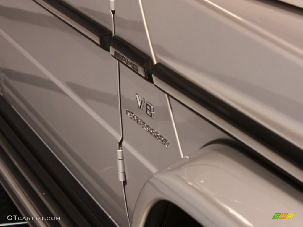 2009 G 55 AMG - Iridium Silver Metallic / designo Charcoal photo #16