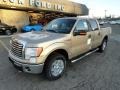 2012 Pale Adobe Metallic Ford F150 XLT SuperCrew 4x4  photo #8