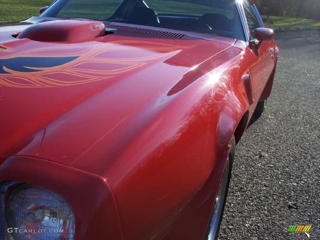 1974 Firebird Trans Am - Buccaneer Red / Black photo #22