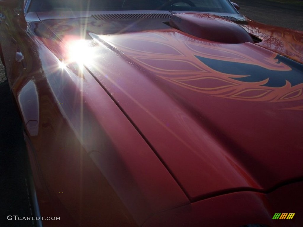 1974 Firebird Trans Am - Buccaneer Red / Black photo #23