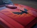  1974 Firebird Trans Am Buccaneer Red
