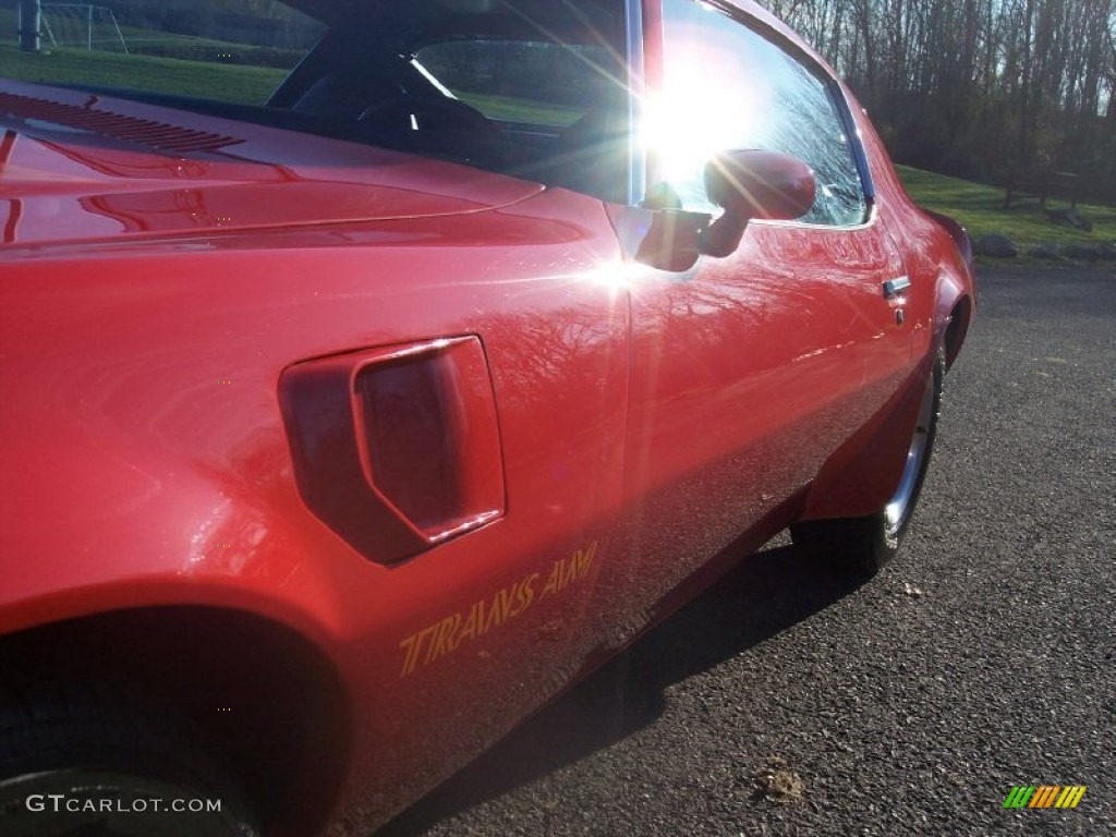 1974 Firebird Trans Am - Buccaneer Red / Black photo #26