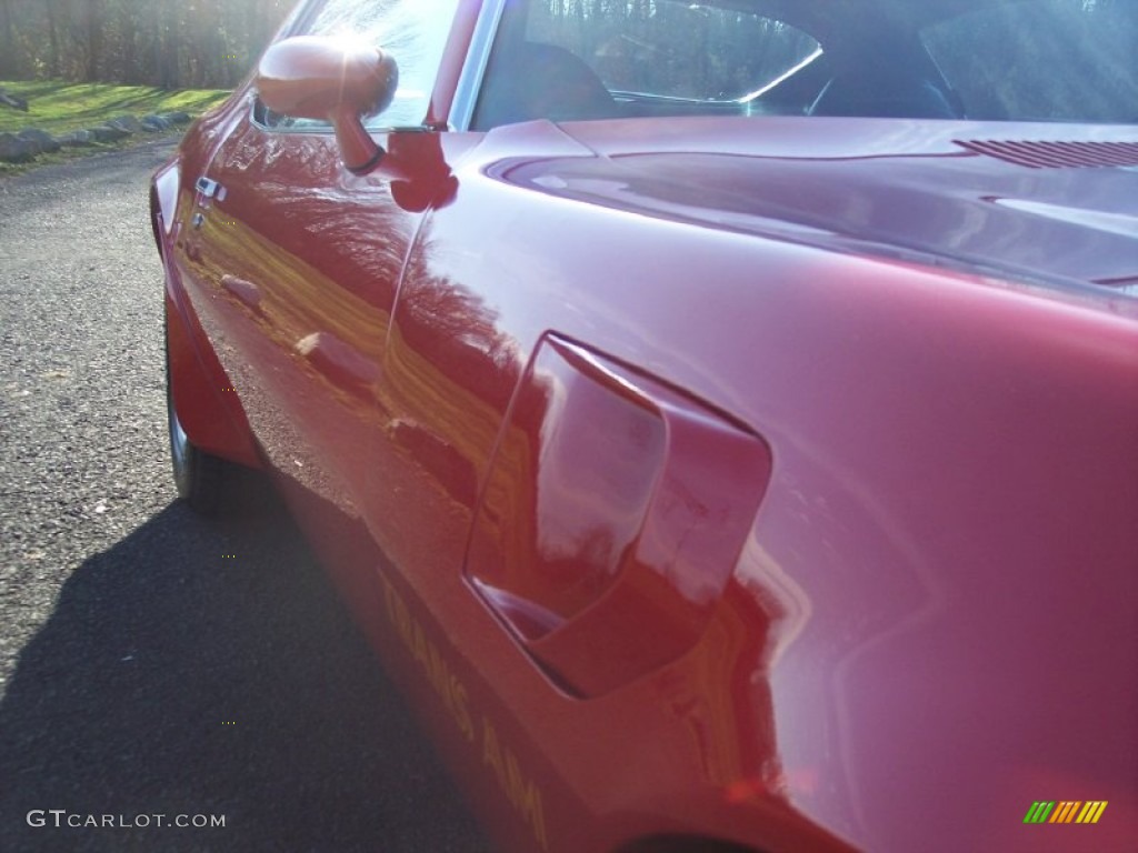 1974 Firebird Trans Am - Buccaneer Red / Black photo #27