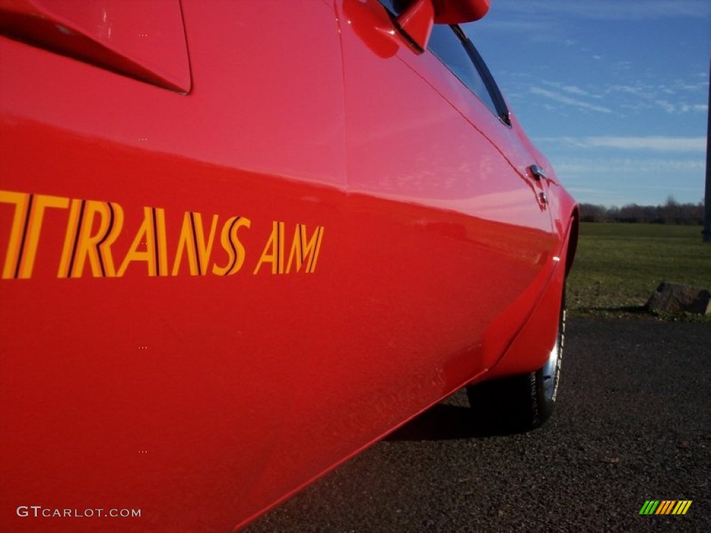 1974 Firebird Trans Am - Buccaneer Red / Black photo #31