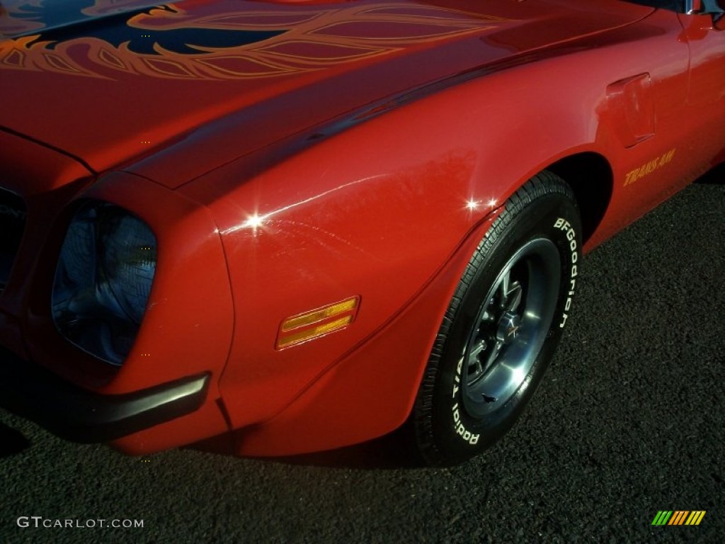 1974 Firebird Trans Am - Buccaneer Red / Black photo #40