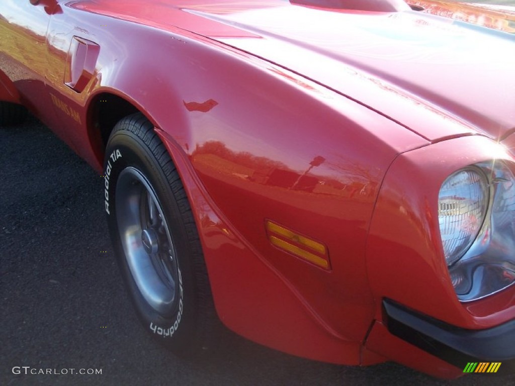 1974 Firebird Trans Am - Buccaneer Red / Black photo #41