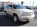Quicksilver - Escalade AWD Photo No. 7