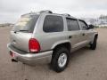 2000 Bright Platinum Metallic Dodge Durango SLT 4x4  photo #3