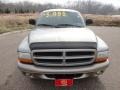 Bright Platinum Metallic - Durango SLT 4x4 Photo No. 11