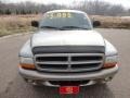 2000 Bright Platinum Metallic Dodge Durango SLT 4x4  photo #11