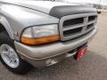 Bright Platinum Metallic - Durango SLT 4x4 Photo No. 12