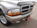 2000 Bright Platinum Metallic Dodge Durango SLT 4x4  photo #12