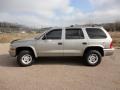 Bright Platinum Metallic - Durango SLT 4x4 Photo No. 14