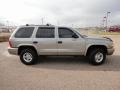 Bright Platinum Metallic - Durango SLT 4x4 Photo No. 15