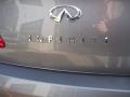 Platinum Graphite Gray - G 35 x S Sedan Photo No. 11