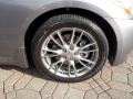 Platinum Graphite Gray - G 35 x S Sedan Photo No. 20