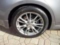 Platinum Graphite Gray - G 35 x S Sedan Photo No. 21