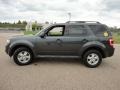 2009 Sterling Grey Metallic Ford Escape XLT V6  photo #16