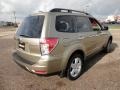 2009 Topaz Gold Metallic Subaru Forester 2.5 X Premium  photo #3