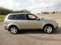 2009 Topaz Gold Metallic Subaru Forester 2.5 X Premium  photo #16