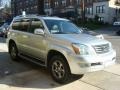Titanium Silver Metallic - GX 470 Photo No. 3