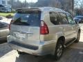 Titanium Silver Metallic - GX 470 Photo No. 4