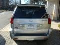 Titanium Silver Metallic - GX 470 Photo No. 5