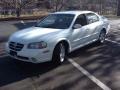 Glacier White Pearl - Maxima SE Photo No. 3