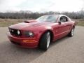 2008 Dark Candy Apple Red Ford Mustang GT Premium Coupe  photo #11