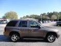 2008 Desert Brown Metallic Chevrolet TrailBlazer LT  photo #10