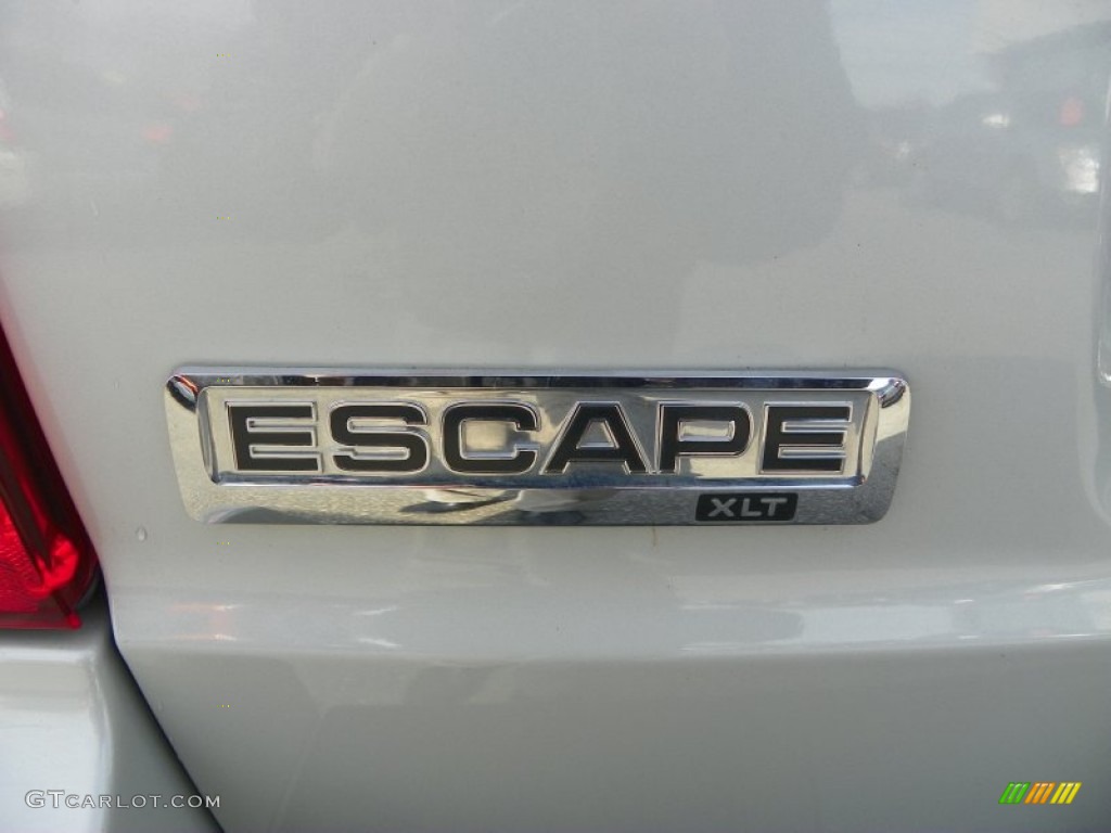 2009 Escape XLT V6 4WD - Light Sage Metallic / Camel photo #11