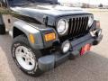 2004 Black Jeep Wrangler Unlimited 4x4  photo #13