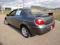 Graphite Metallic - Neon SXT Photo No. 10