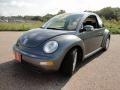 Platinum Grey Metallic - New Beetle GL Coupe Photo No. 11