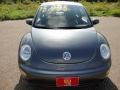 Platinum Grey Metallic - New Beetle GL Coupe Photo No. 12