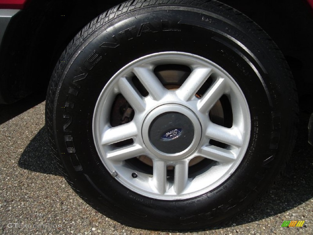 2003 Expedition XLT 4x4 - Laser Red Tinted Metallic / Flint Grey photo #4