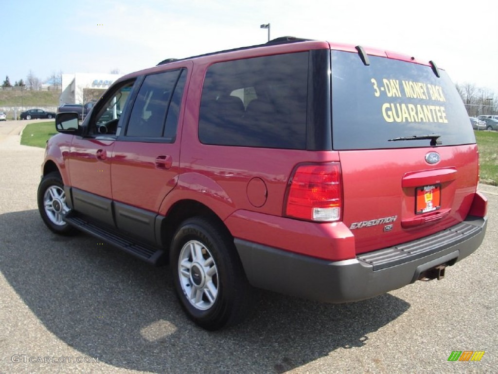 2003 Expedition XLT 4x4 - Laser Red Tinted Metallic / Flint Grey photo #10