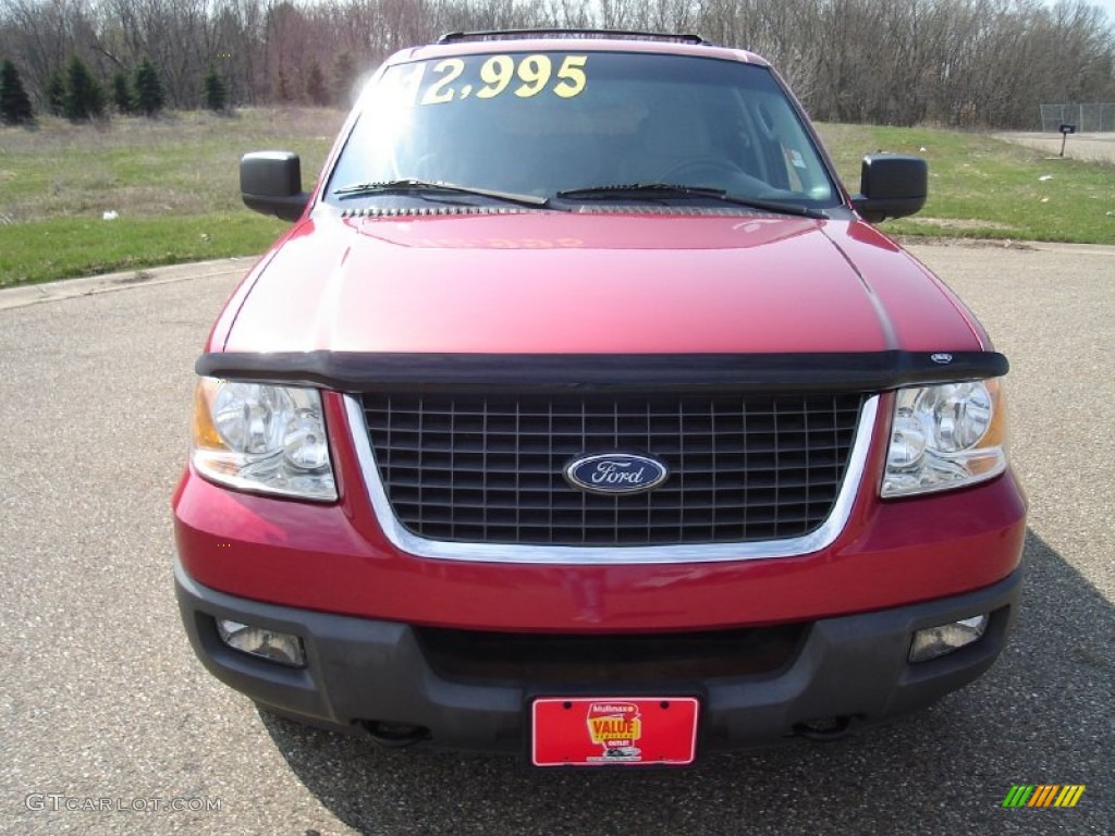 2003 Expedition XLT 4x4 - Laser Red Tinted Metallic / Flint Grey photo #12