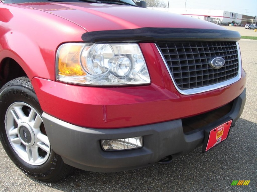 2003 Expedition XLT 4x4 - Laser Red Tinted Metallic / Flint Grey photo #13