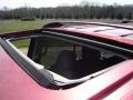 2003 Laser Red Tinted Metallic Ford Expedition XLT 4x4  photo #32