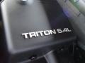 2003 Laser Red Tinted Metallic Ford Expedition XLT 4x4  photo #34