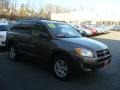 Pyrite Metallic - RAV4 I4 4WD Photo No. 1